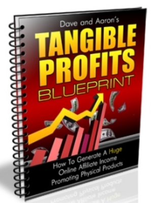 Product picture Tangible Profits Blueprint with MRR